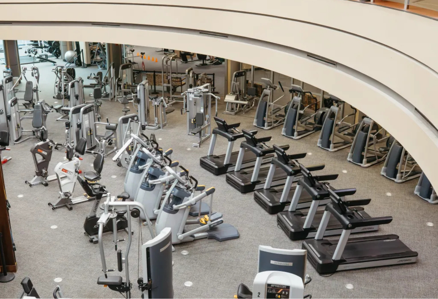 Spacious gym interior with various exercise machines, including treadmills and ellipticals, arranged neatly on a carpeted floor. Bright and organized atmosphere.